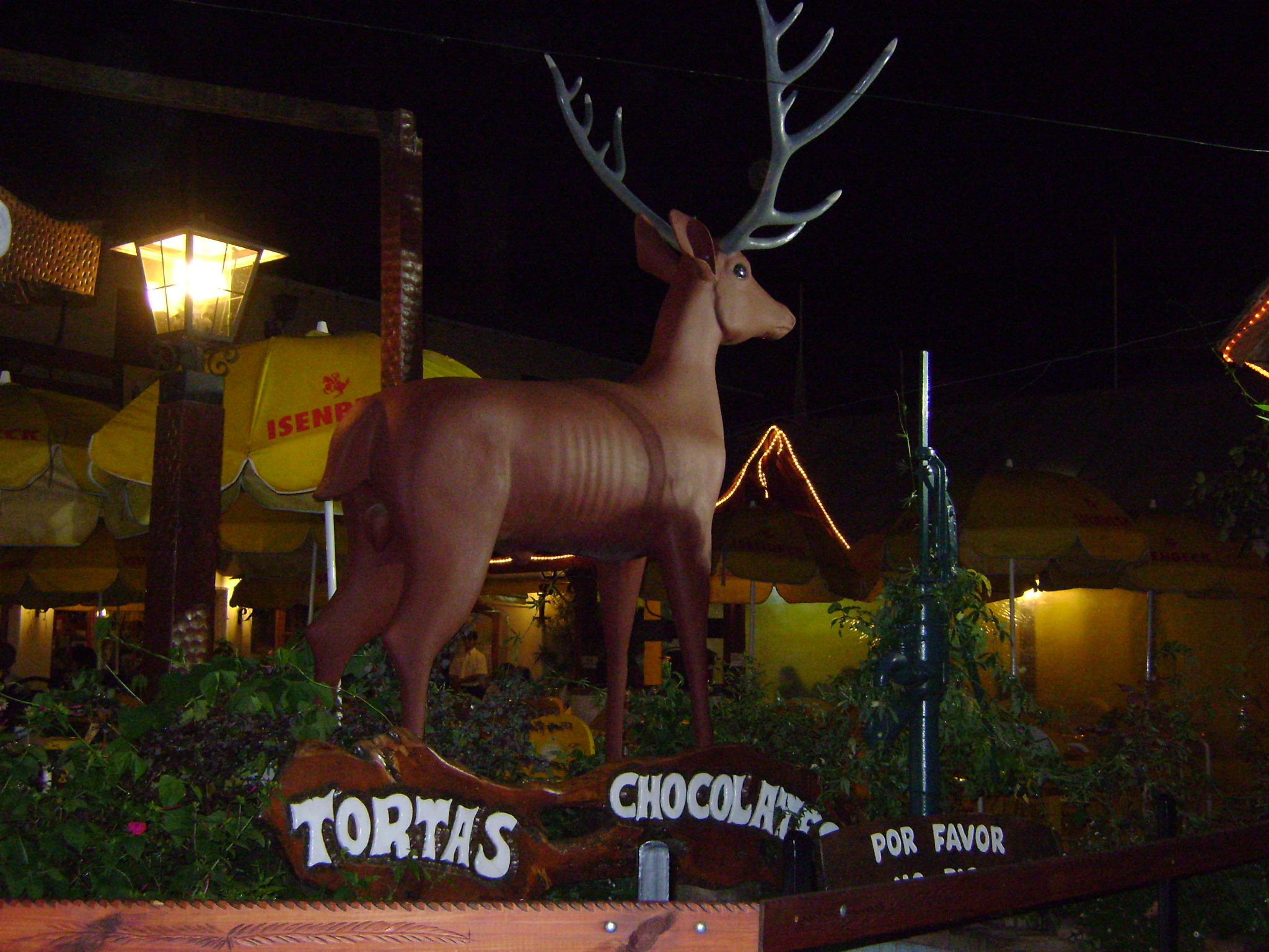 fotos/2011 - Los Reartes/DSC03324.JPG